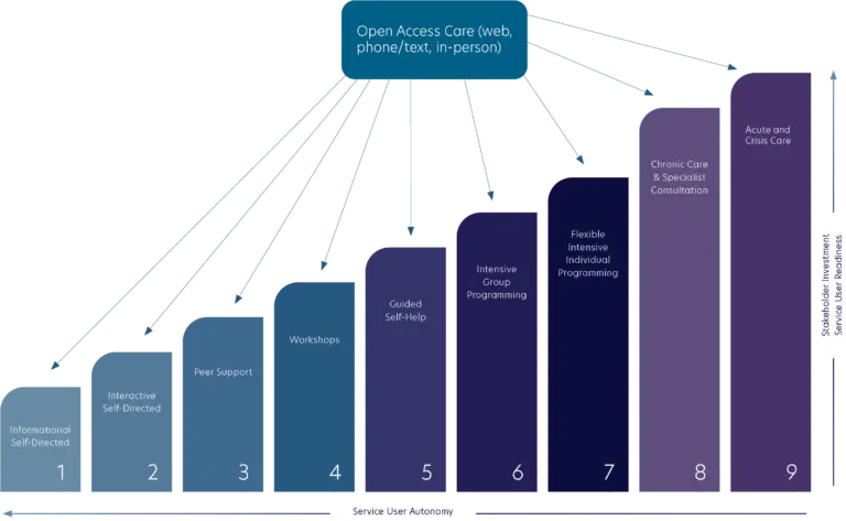 Service hierarchy diagram showing nine steps from open access core through increasingly intensive care options