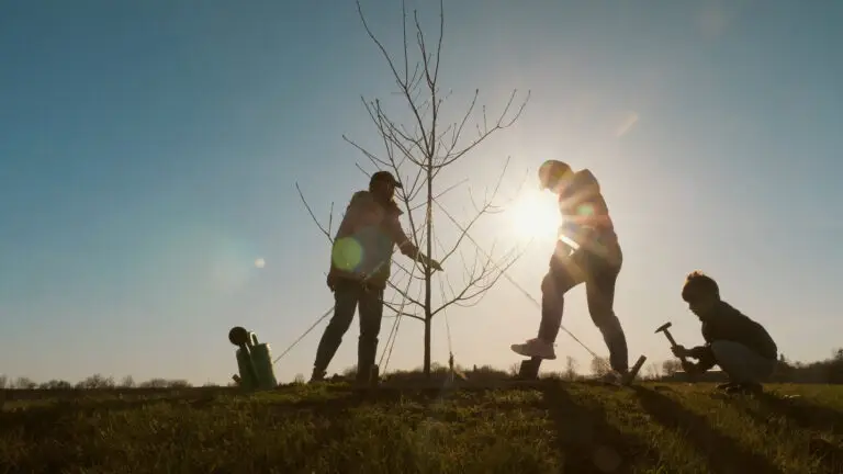 Group of people planting a young tree together in an outdoor setting.